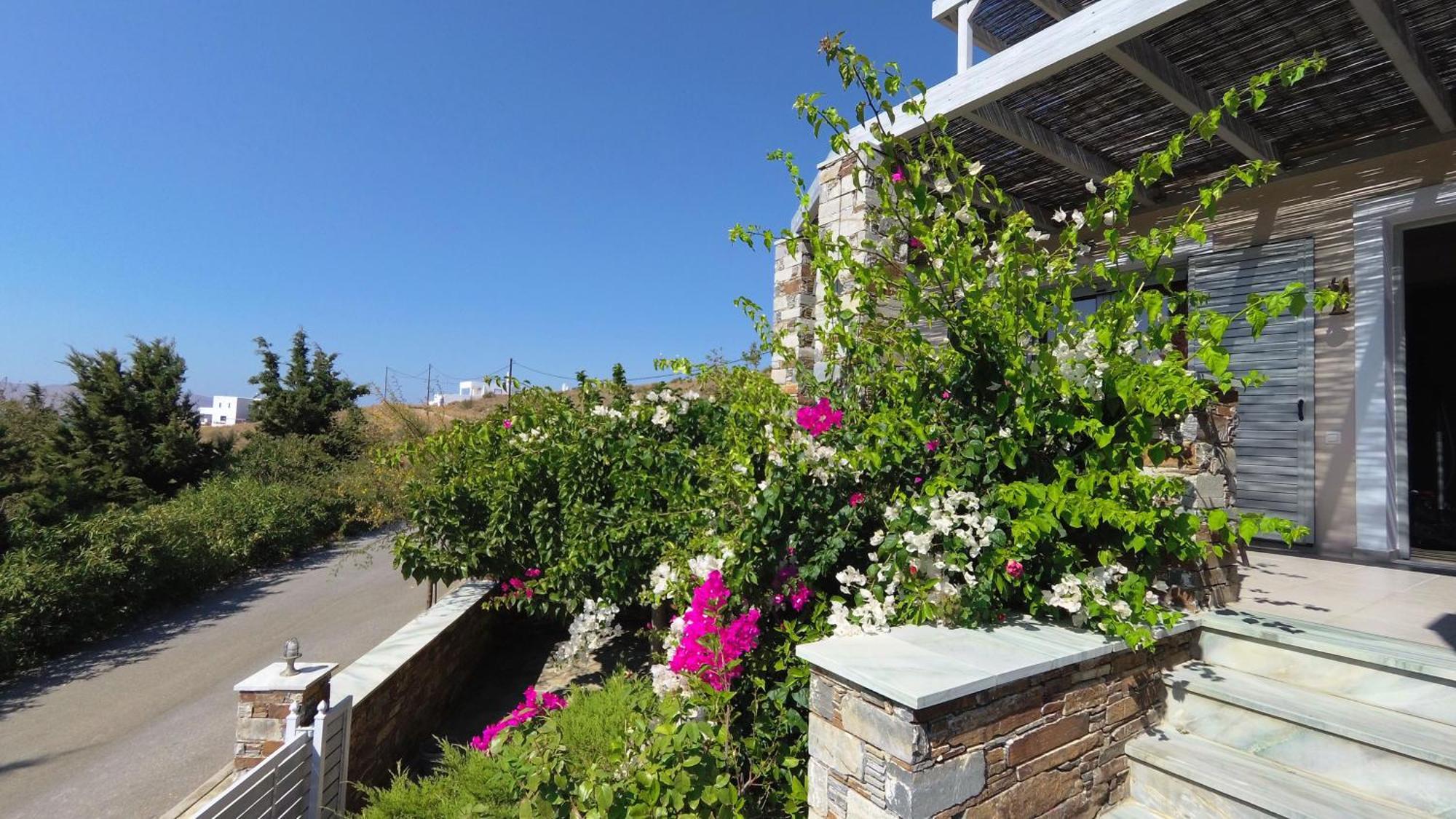 Aeolia Villas Karystos  Luaran gambar